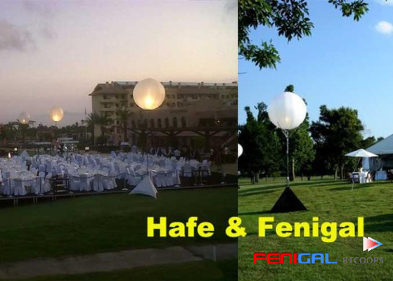 Advertising Inflatable Event Lighting Balloon For Exhibition With 120V And 220V Voltage Options