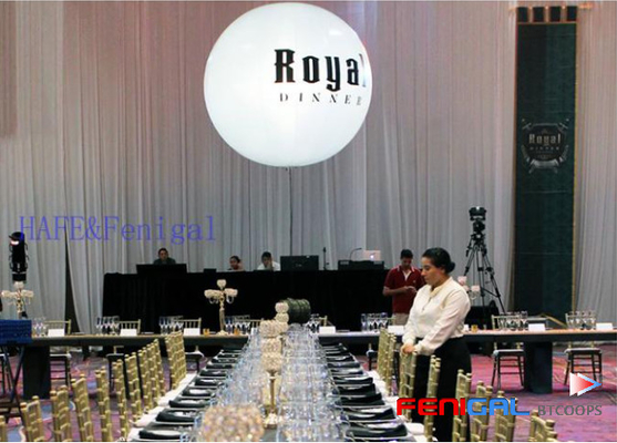 Customizable 220V LED Inflatable Event Lighting Balloon For Exhibition Decoration Hangable Design