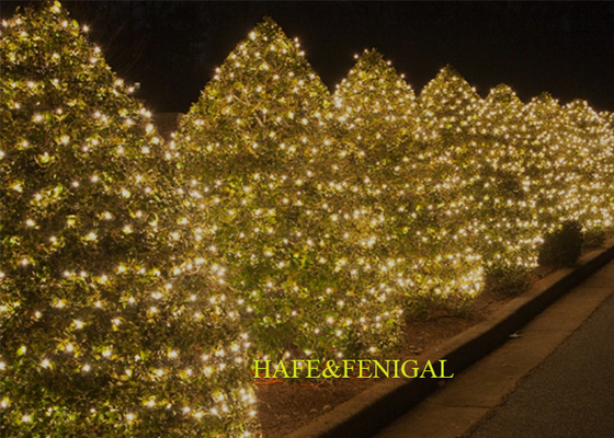 RGB Warm White Colorful LED Christmas Light Strings For Wedding Yard Decoration