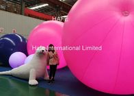 Pink Helium Balloon And Inflatable Decorations Carton Sea Dog For Events