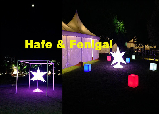 Flying Inflatable Lighting Decoration Balloon And Light Tusk Star